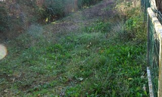Photo N° 14