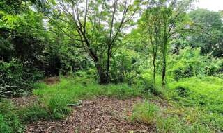 Terrain  3299 m² à vendre à Le Marin (97290)