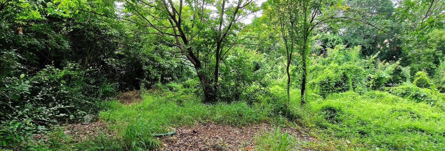 Terrain  3299 m² à vendre à Le Marin (97290)