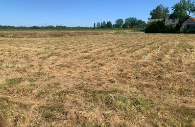 construire terrain 85 000 € à proximité de Fronsac (33126)