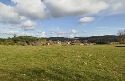 terrain  pièces 4437 m2 à vendre à Saint-Germain-l'Herm (63630)