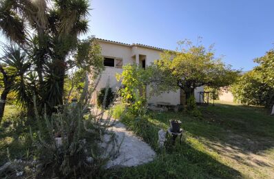 vente maison 600 000 € à proximité de Grosseto-Prugna (20128)