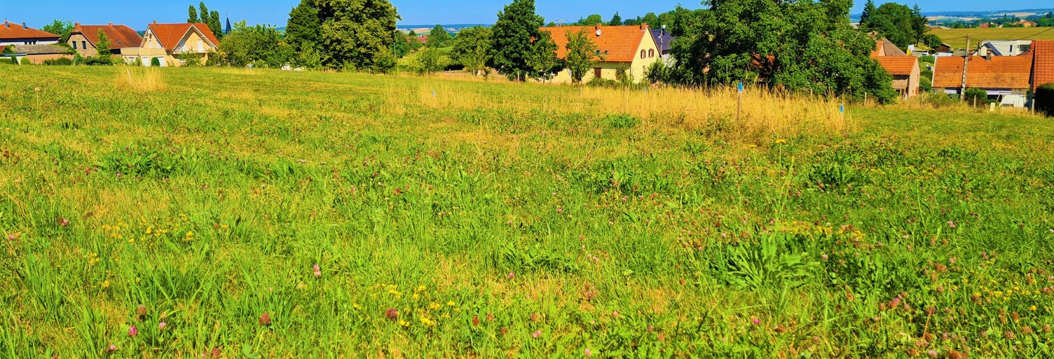 Terrain  1095 m² à vendre à Phalsbourg (57370)