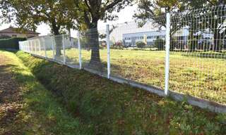Photo N° 2