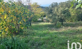 Photo N° 6