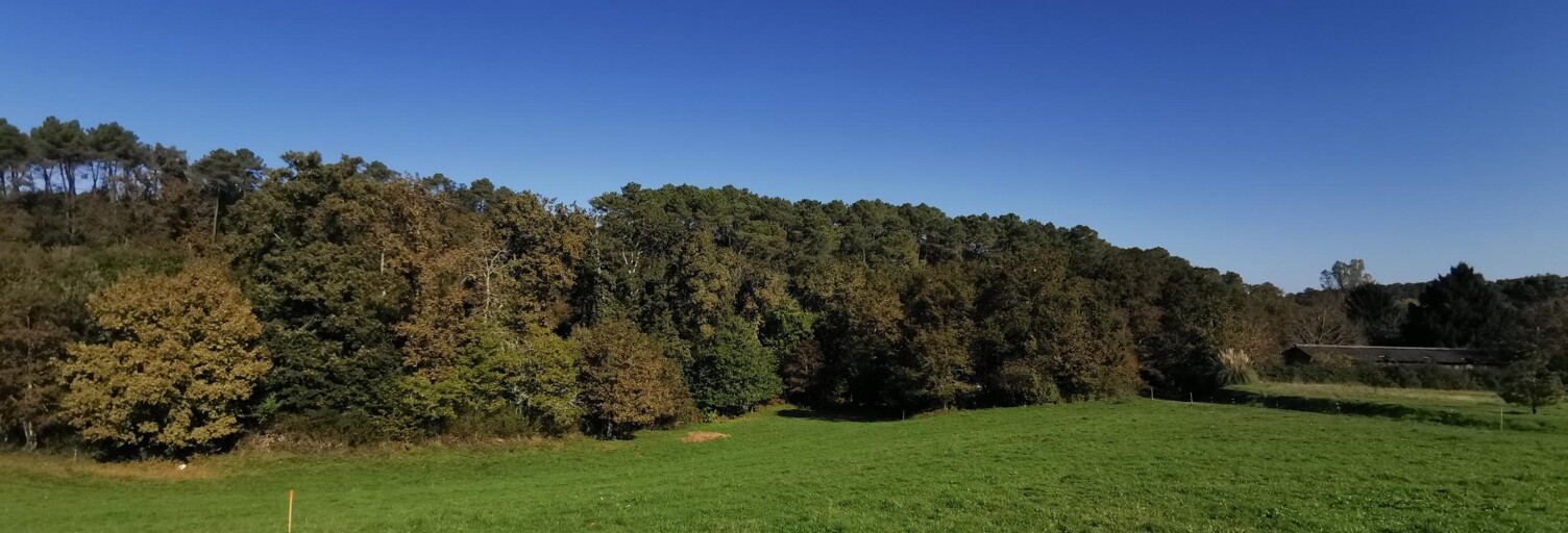 Terrain  3000 m² à vendre à Nabirat (24250)