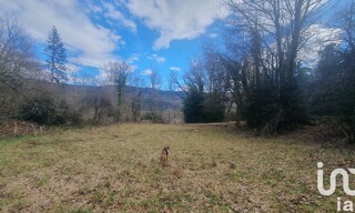 Photo N° 5