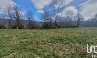 Photo N° 6