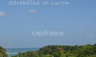 Terrain  1984 m² à vendre à La Trinité (97220)