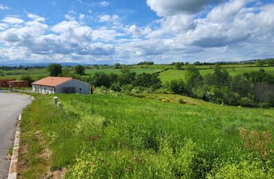 terrain  pièces 733 m2 à vendre à Saint-Marcel-de-Félines (42122)