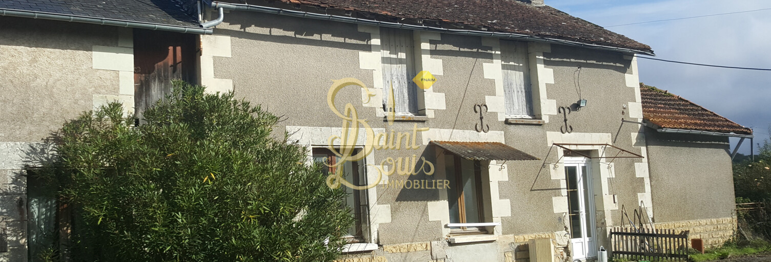 Maison 2 Pièces 90 m² à vendre à Richelieu (37120)