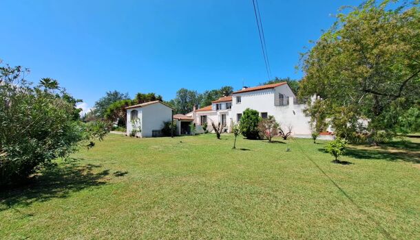 Villa / Maison 10 pièces  à vendre Soler (Le) 66270