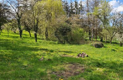 terrain  pièces 2500 m2 à vendre à Méréville (54850)