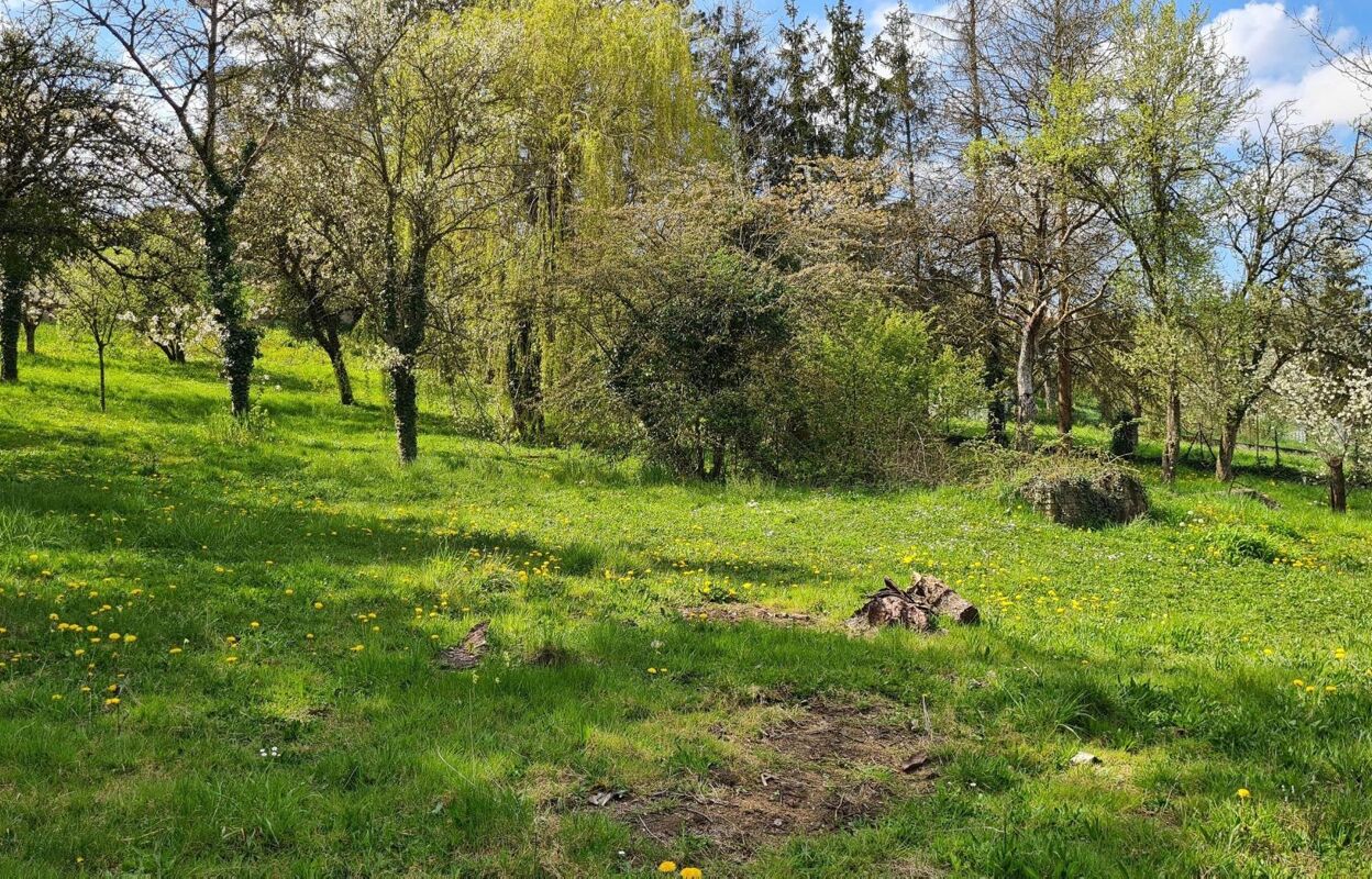 terrain  pièces 2500 m2 à vendre à Méréville (54850)