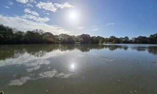 Photo N° 2