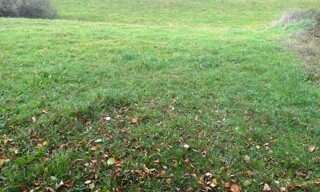 Photo N° 4