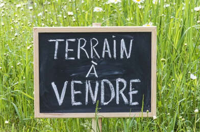 Terrain  169600 €
