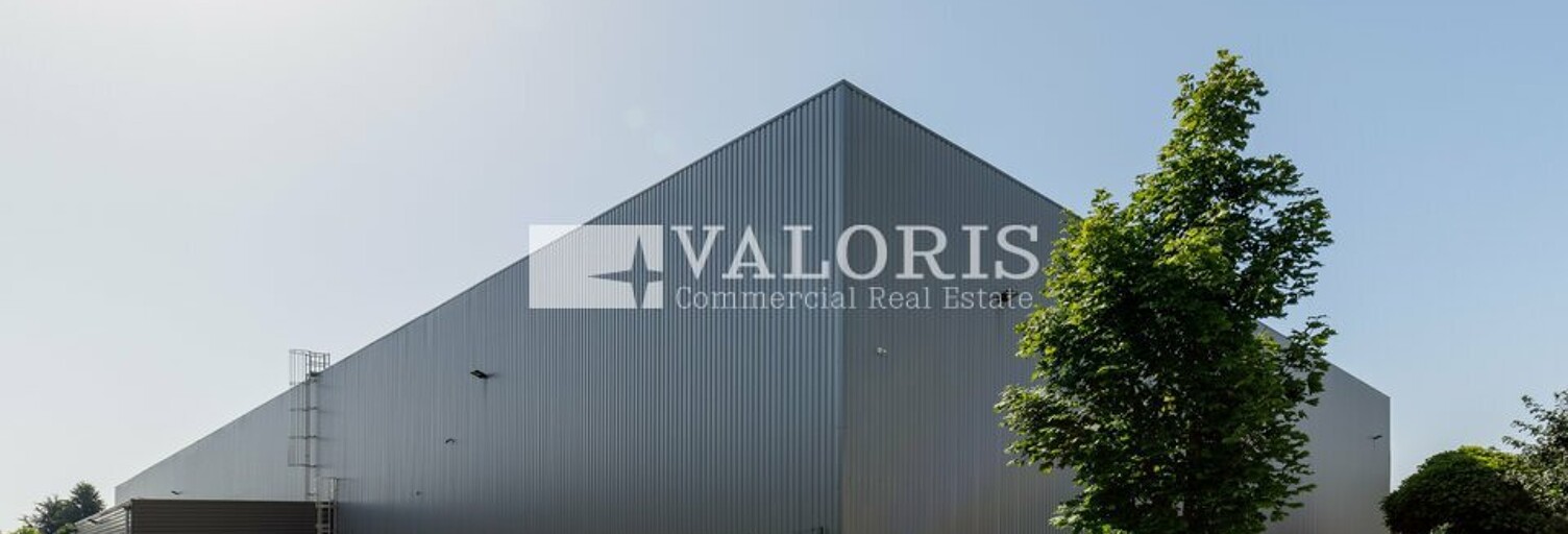 Commerce  9623 m² à louer à Miribel (01700)