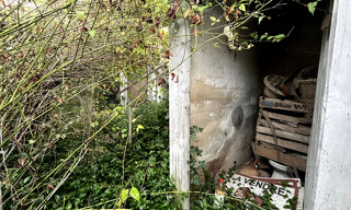 Photo N° 5