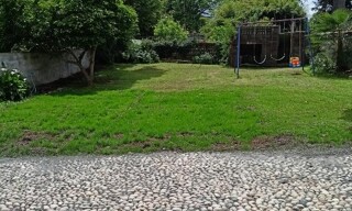 Photo N° 8
