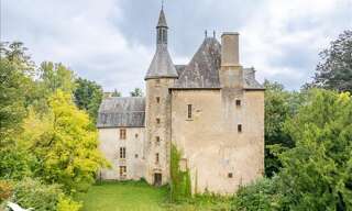 Maison 11 Pièces 600 m² à vendre à Briantes (36400)