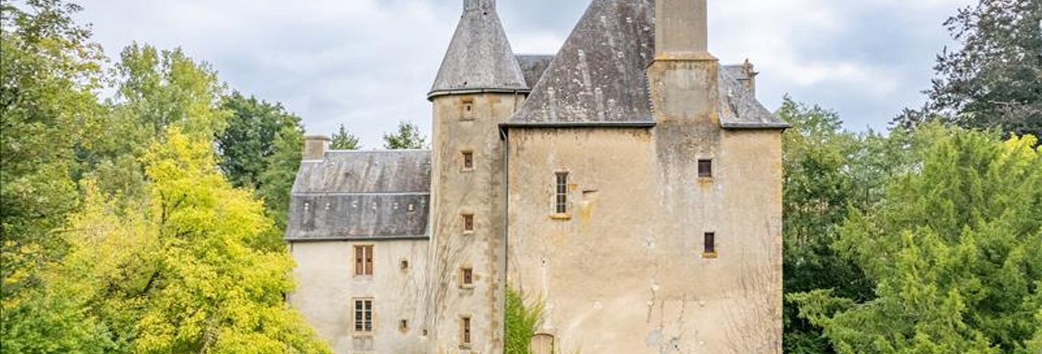 Maison 11 Pièces 600 m² à vendre à Briantes (36400)