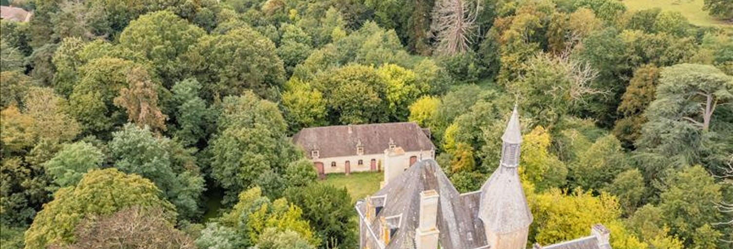 Maison 11 Pièces 600 m² à vendre à Briantes (36400)