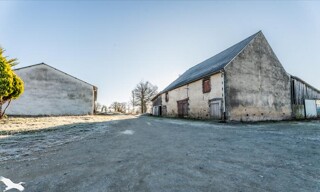 Photo N° 6