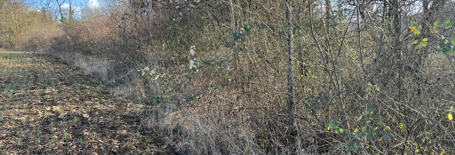 Terrain  1112 m² à vendre à Montauville (54700)