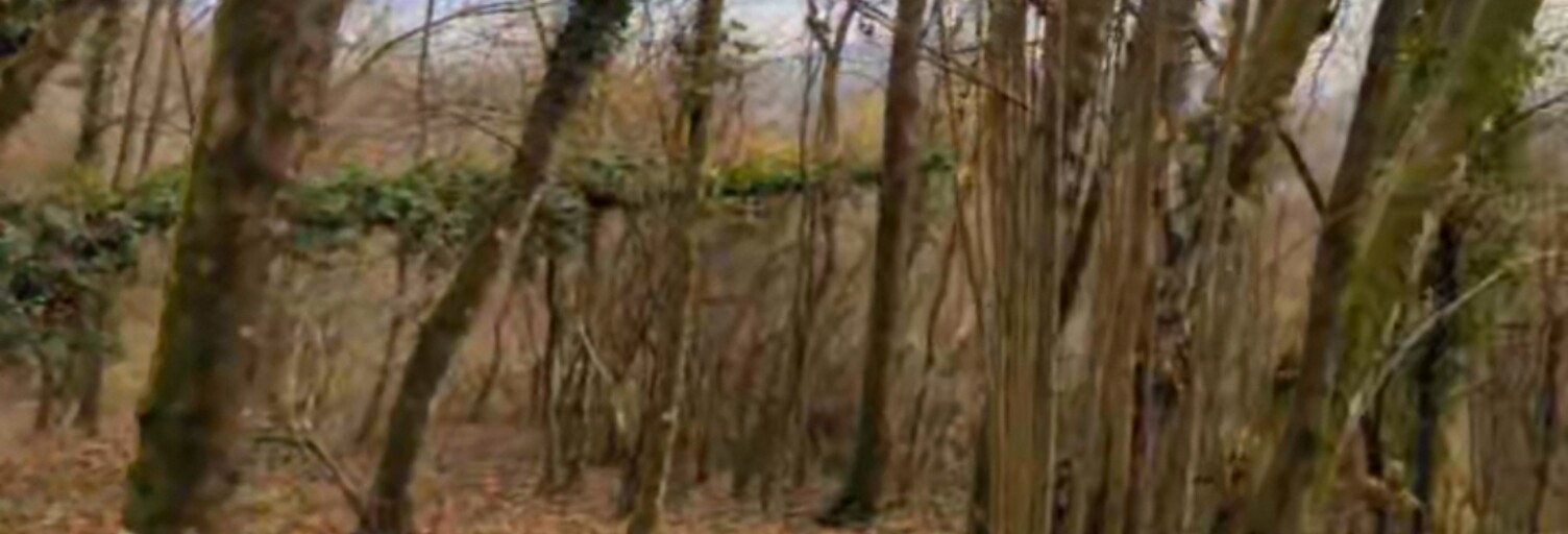 Terrain  434 m² à vendre à Montauville (54700)