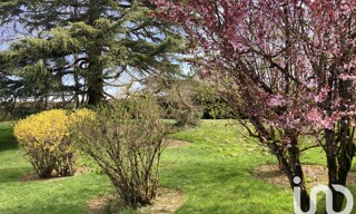 Photo N° 3