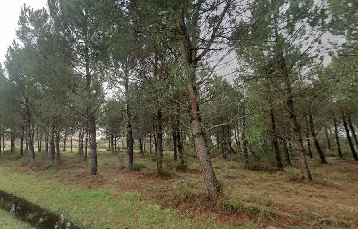 terrain  pièces 560 m2 à vendre à Andernos-les-Bains (33510)