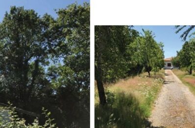 terrain  pièces 350 m2 à vendre à Pessac (33600)