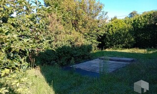 Photo N° 4