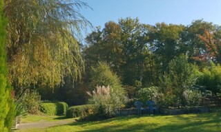 Photo N° 4