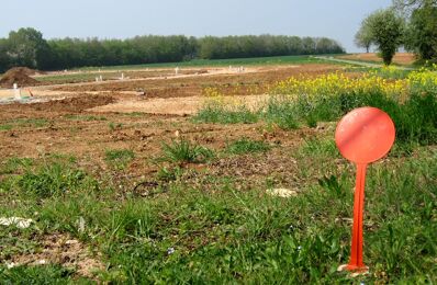 construire terrain 130 000 € à proximité de Sainte-Foy-de-Peyrolières (31470)