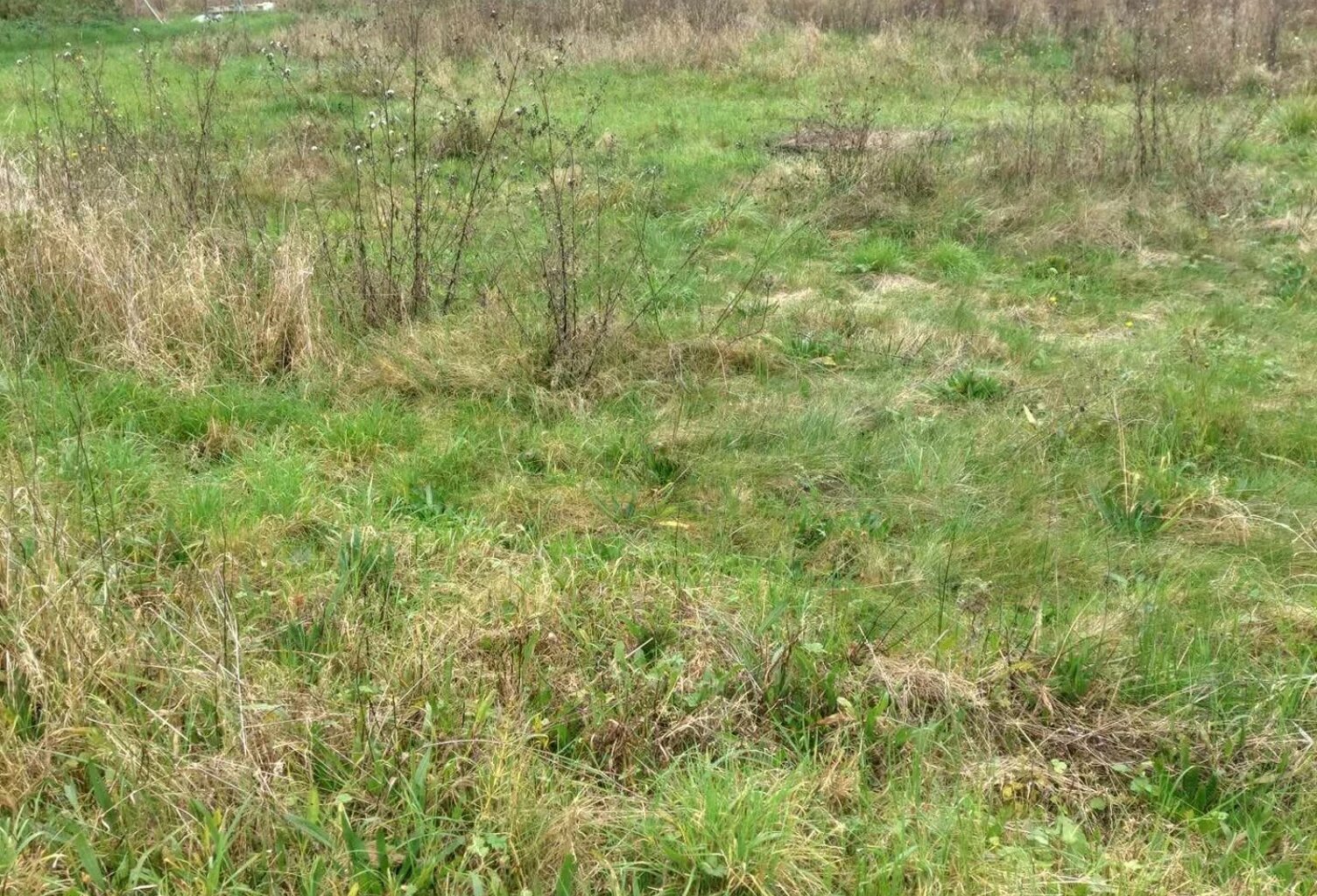 terrain constructible  non viabiliser 2596m² Noyon — photo 1