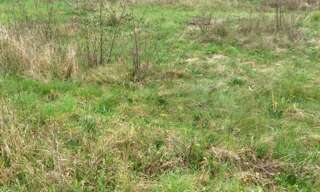 Terrain  2596 m² à vendre à Noyon (60400)