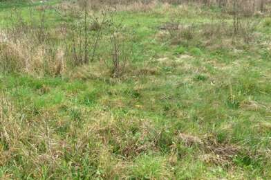 Terrain  98000 €