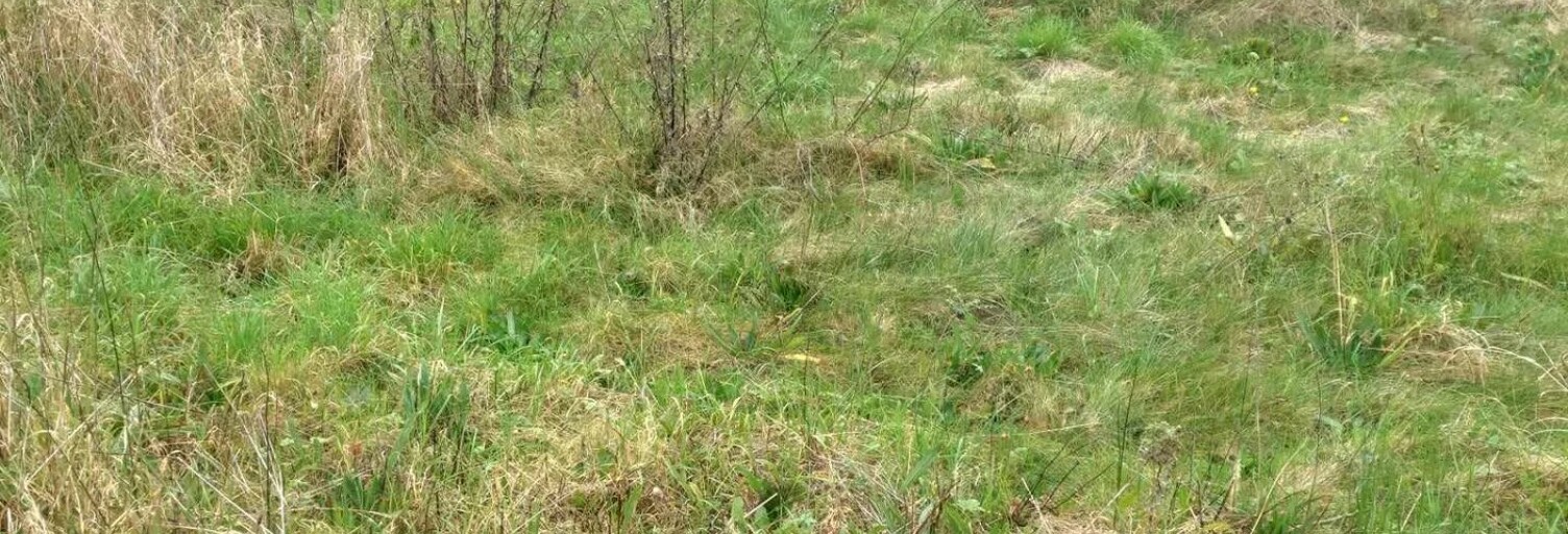 Terrain  2596 m² à vendre à Noyon (60400)