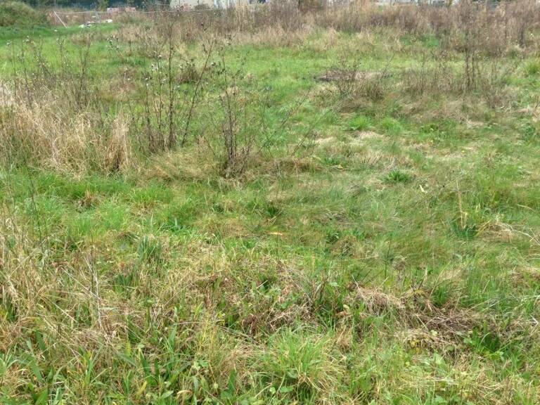 terrain constructible  non viabiliser 2596m² Noyon — photo 1