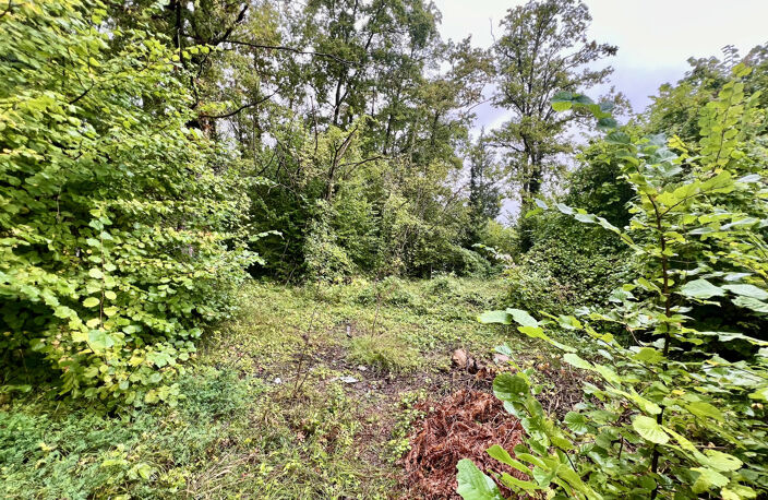 Terrain de loisirs — photo 3