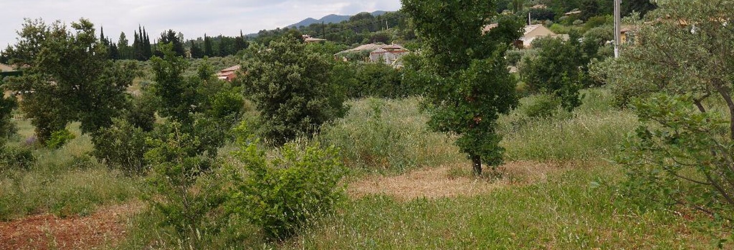 Terrain  2005 m² à vendre à Aups (83630)