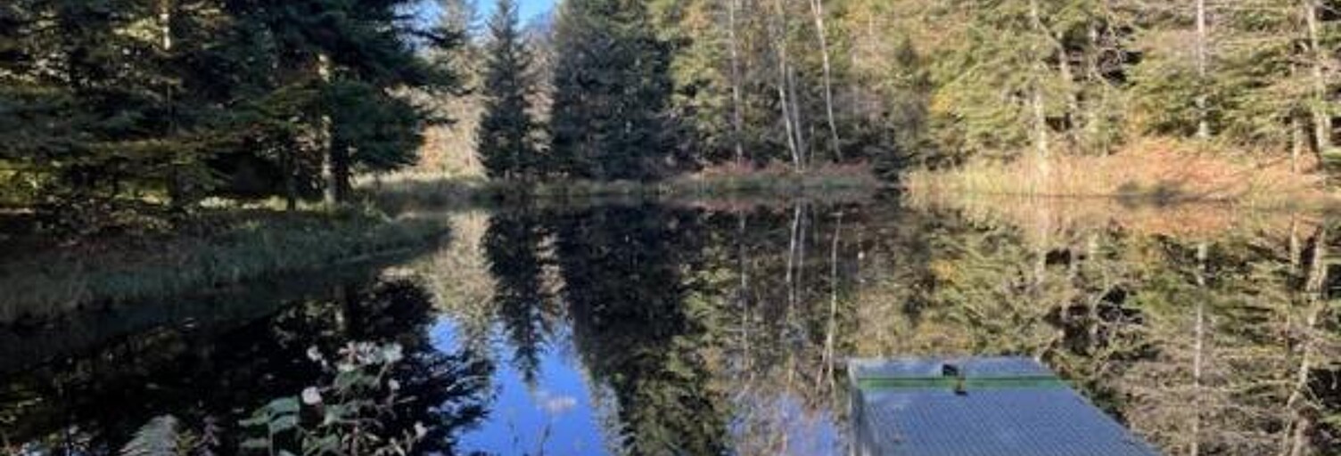 Commerce  9200 m² à vendre à Faucogney-et-la-Mer (70310)