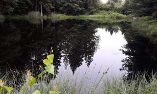 Commerce  9200 m² à vendre à Faucogney-et-la-Mer (70310)