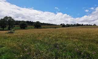 Terrain  5436 m² à vendre à Roanne (42300)