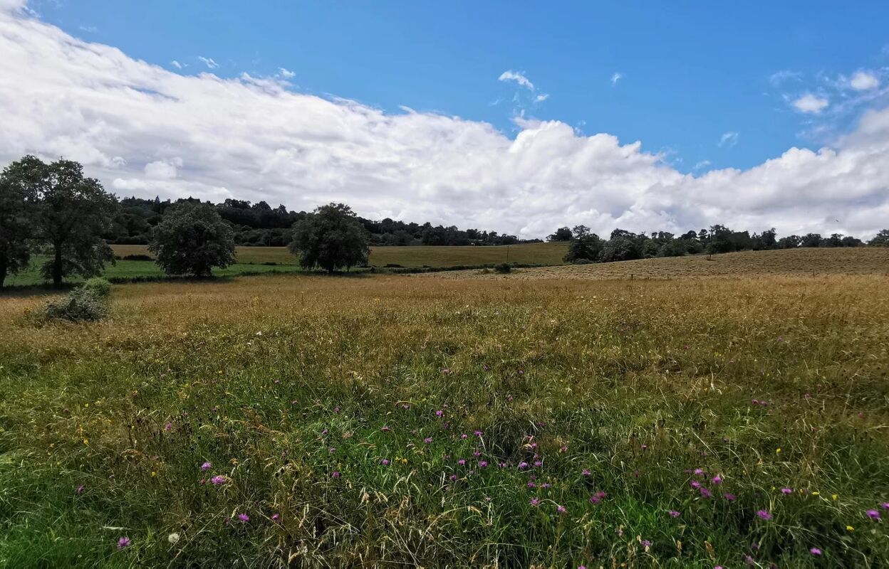 terrain  pièces 5436 m2 à vendre à Roanne (42300)