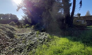 Photo N° 4