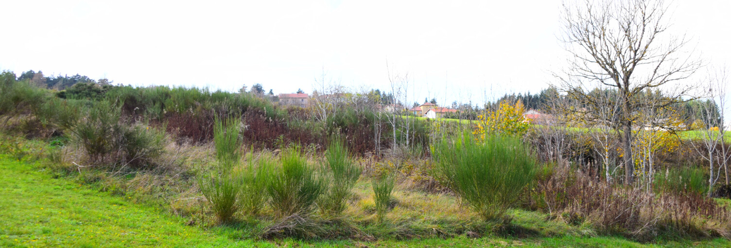 Terrain  900 m² à vendre à Coucouron (07470)