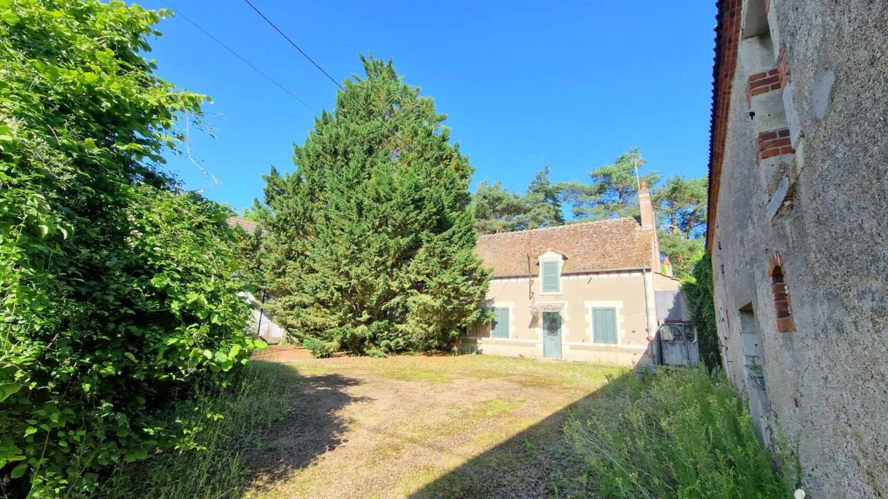 maison 6 pièces 220 m2 à vendre à Saint-Benoît-sur-Loire (45730)